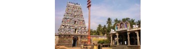 221. திருவதிகை